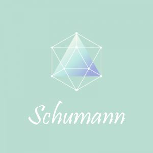 Schumann Resonance Meditation